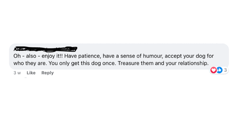 Screenshot of a facebook comment that reads "oh - also - enjoy it! Have patience, have a sense of humour, accept your dog for who they are. You only get this dog once. Treasure them and your relationship. 