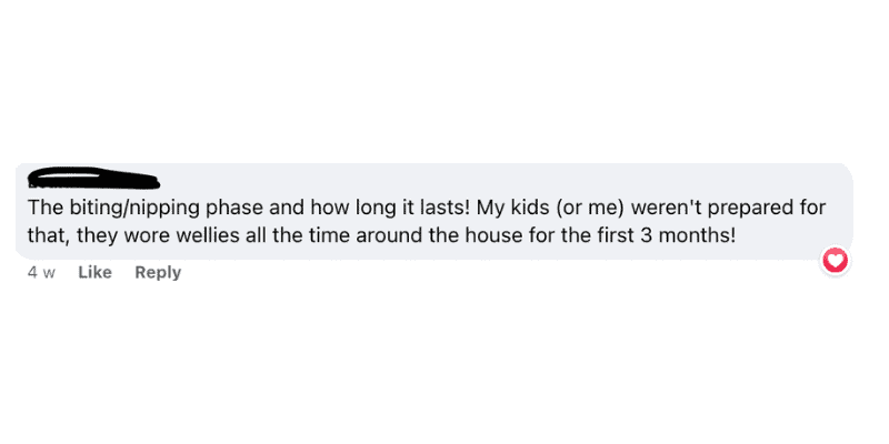 Screenshot of a facebook comment that reads "the biting/nipping phase and how long it lasts! My kids (or me) weren't prepared for that, they wore wellies all the time around the house for the first 3 months!"