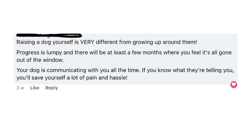 Screenshot of a facebook comment that reads "raising a dog yourself is VERY different from growing up around them. Progress is lumpy and there will be at least a few months where you feel it's all gone out the window. Your dog is communicating with you all the time. If you know what they're telling you, you'll save yourself a lot of pain and hassle."